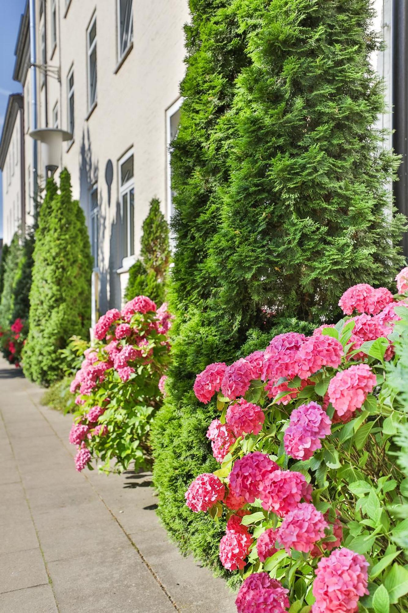 Berne Apartments ハンブルク エクステリア 写真
